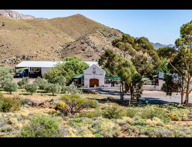 1,206HA FARM FOR SALE IN PRINCE ALBERT RURAL